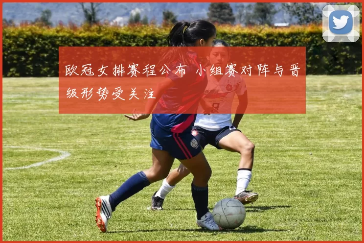 欧冠女排赛程公布 小组赛对阵与晋级形势受关注