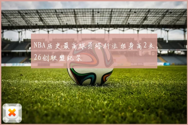 NBA历史最高球员塔科法尔身高2米26创联盟纪录