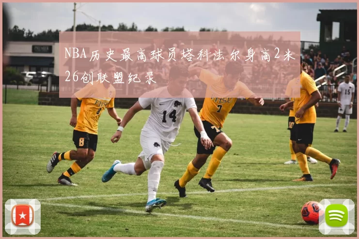 NBA历史最高球员塔科法尔身高2米26创联盟纪录