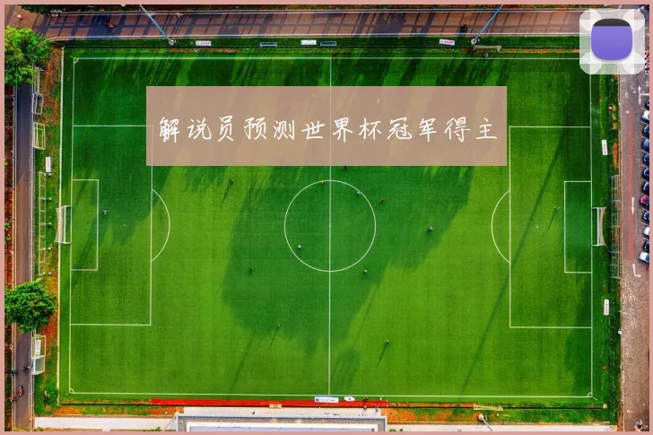 解说员预测世界杯冠军得主