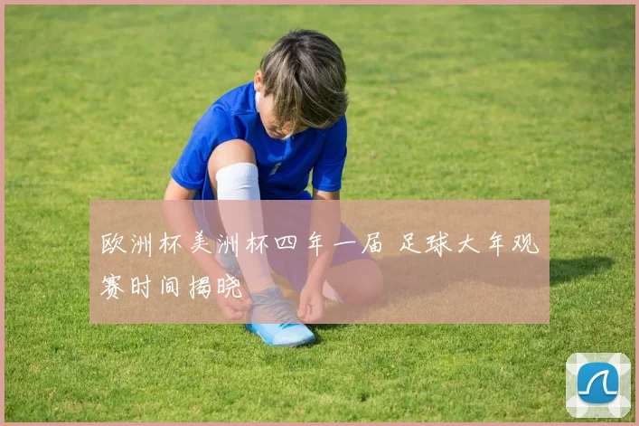 欧洲杯美洲杯四年一届 足球大年观赛时间揭晓